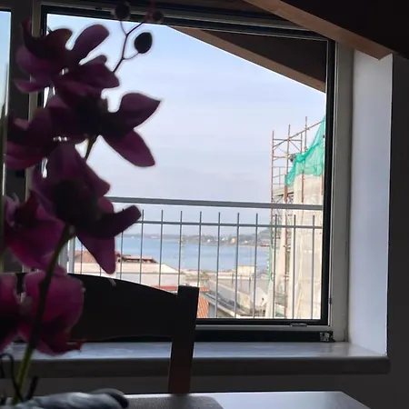 Apartment - Le Orchidee