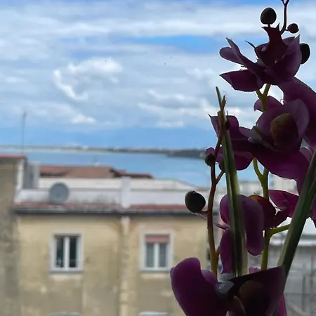 - Le Orchidee * Agropoli